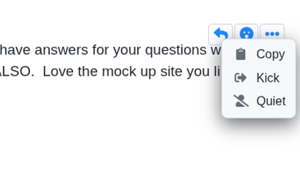 A moderation pop-up with the options copy, kick, and quiet